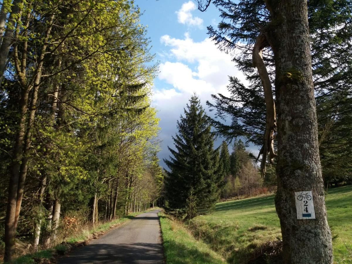 Willa Na Szlaku Stronie Śląskie Exterior foto